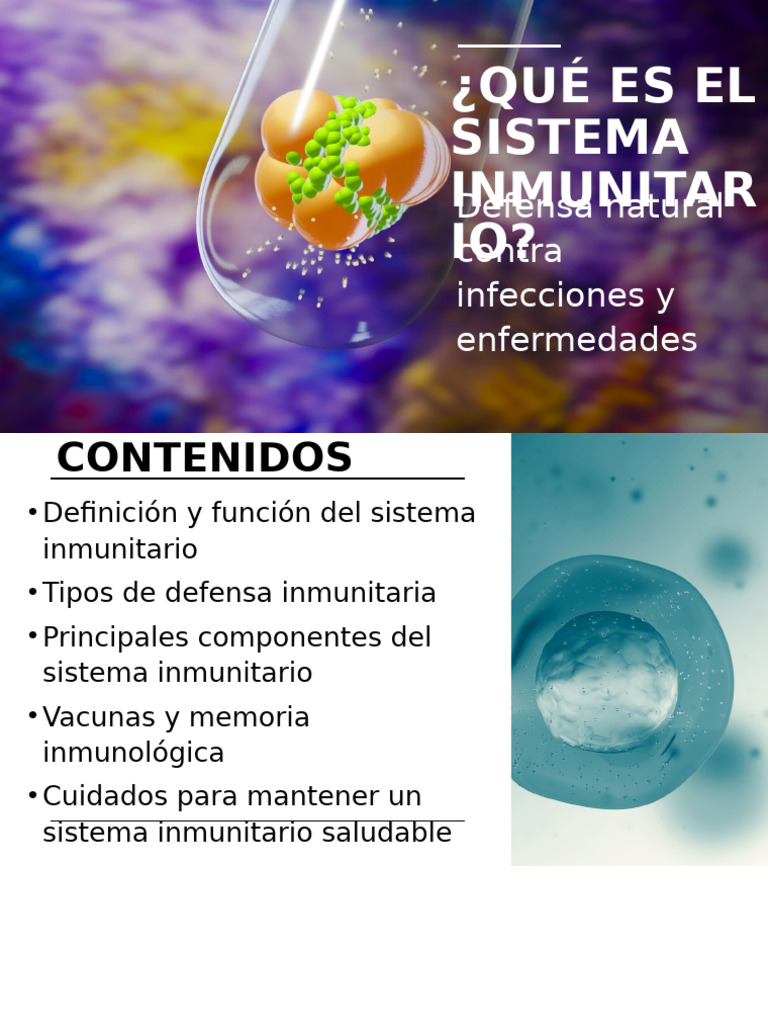 Sistema Inmunitario: Funciones y Cuidados | PDF | Sistema inmune ...