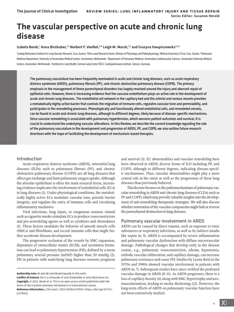 Vascular Role in Lung Disease Progression | PDF | Endothelium ...
