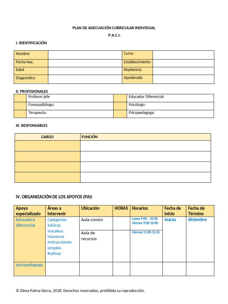 Formato PACI (Reparado) | PDF | Maestros | Aprendizaje