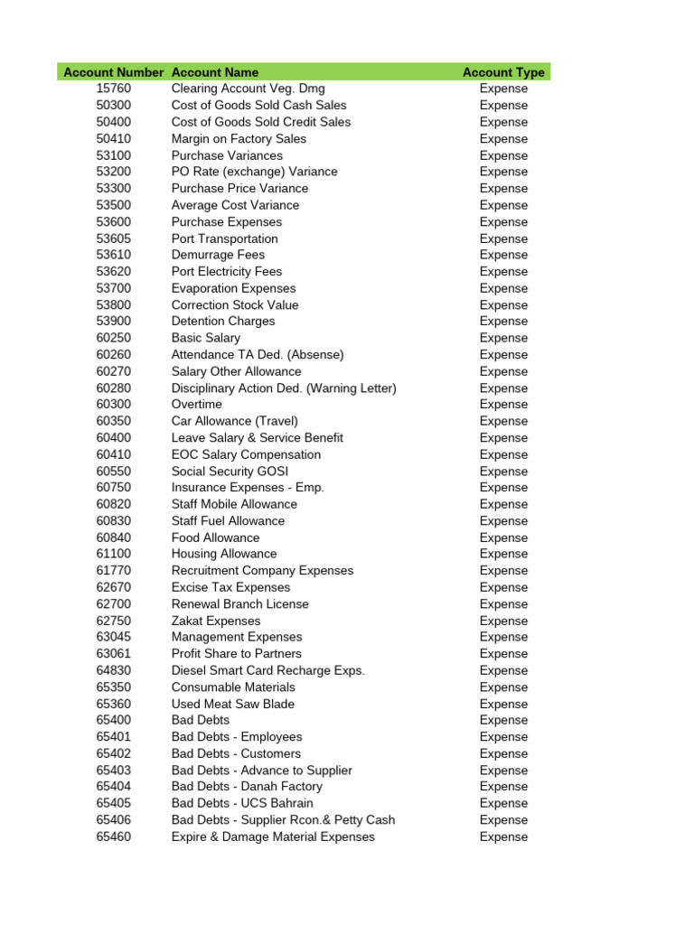 Comprehensive Expense Account Overview | PDF | Expense | Depreciation