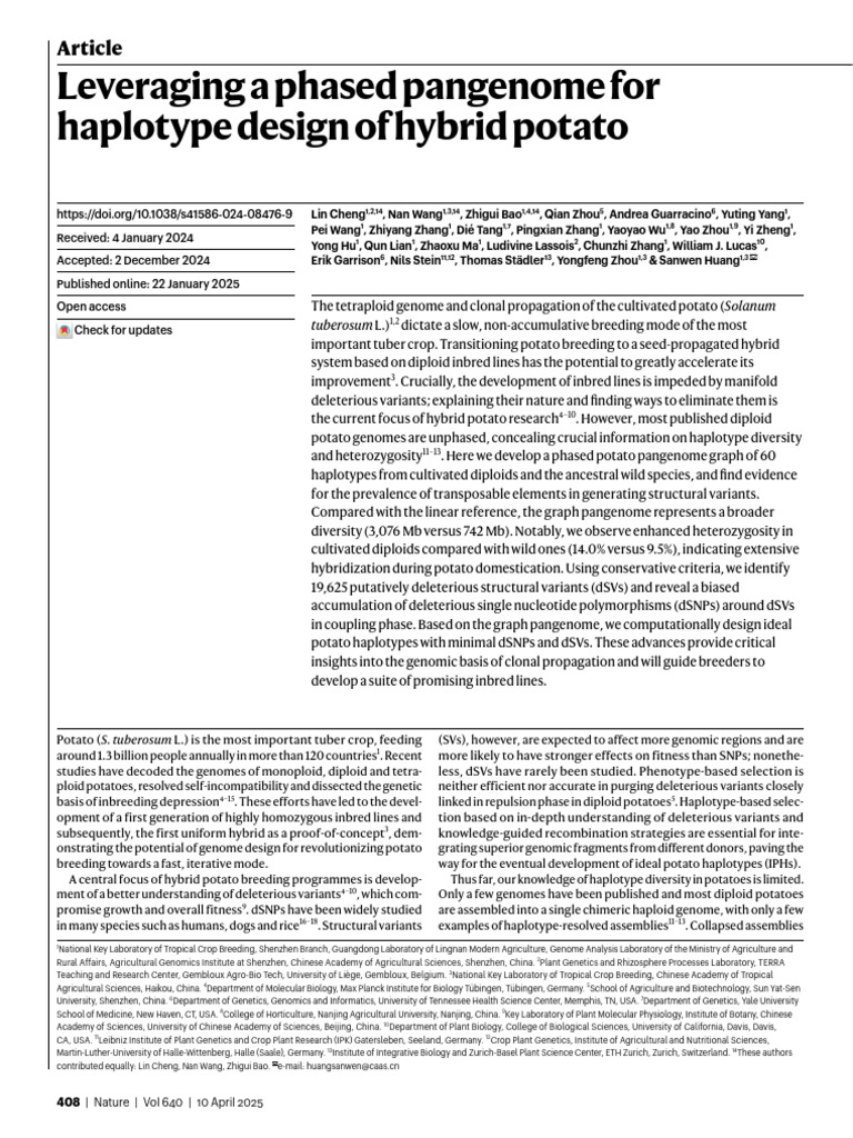 Leveraging A Phased Pangenome For Haplotype Design of Hybrid Potato ...