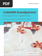 Ross Guide Performance PS | PDF | Nutrients | Methionine