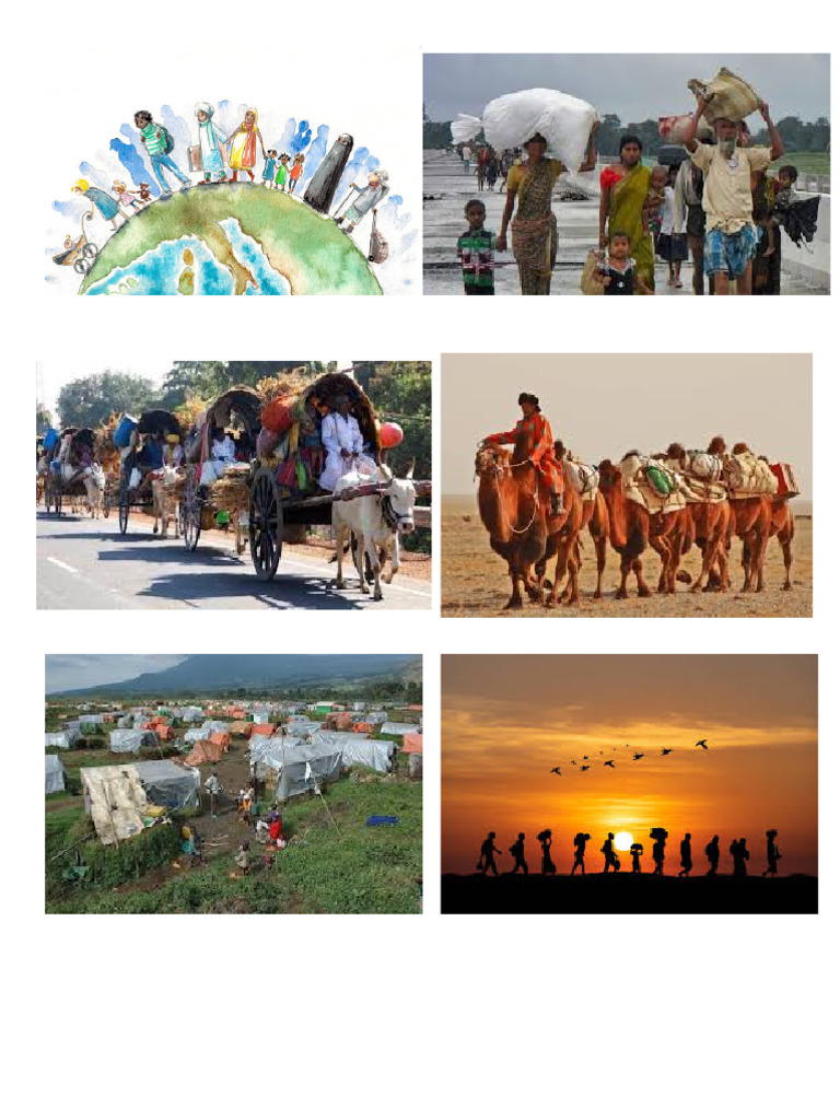 Human Migration | PDF