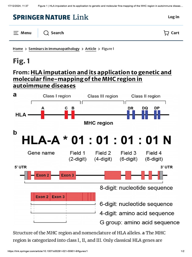 Figure 1 - HLA Imputation To Genetic and Molecular Fine-Mapping of The ...