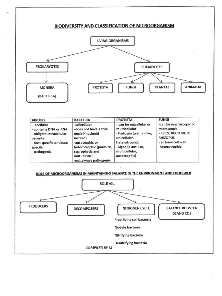 Micro Organisms Notes by Silaule - 051611 | PDF