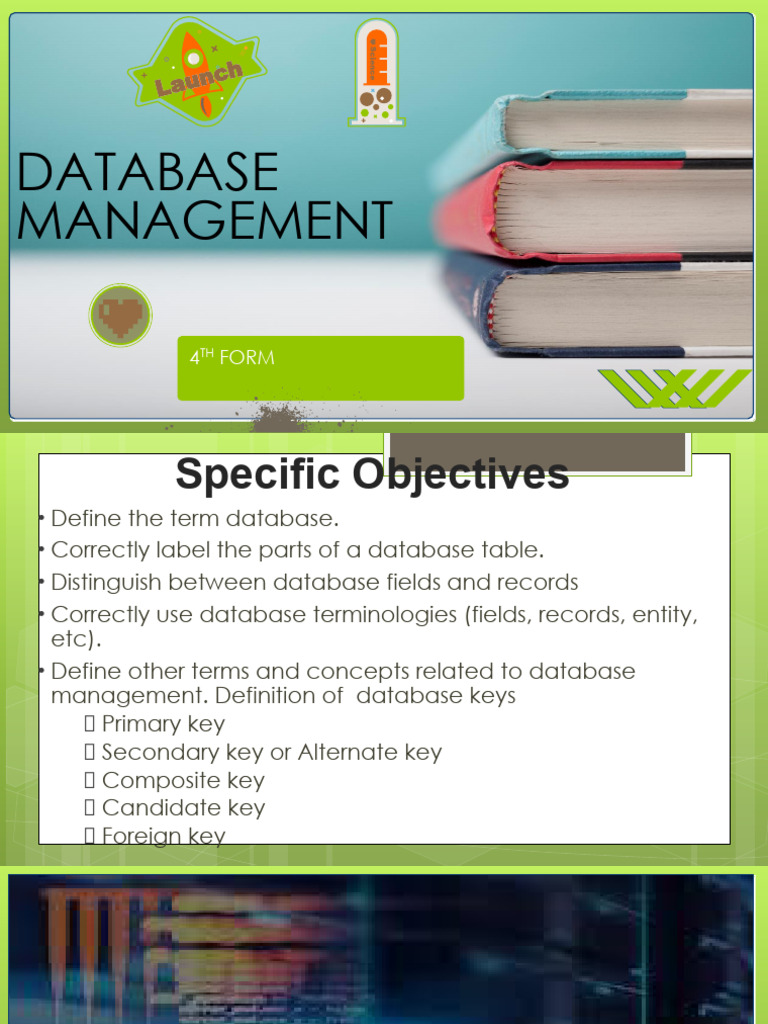 Database Management Basics Explained | PDF | Databases | Computing
