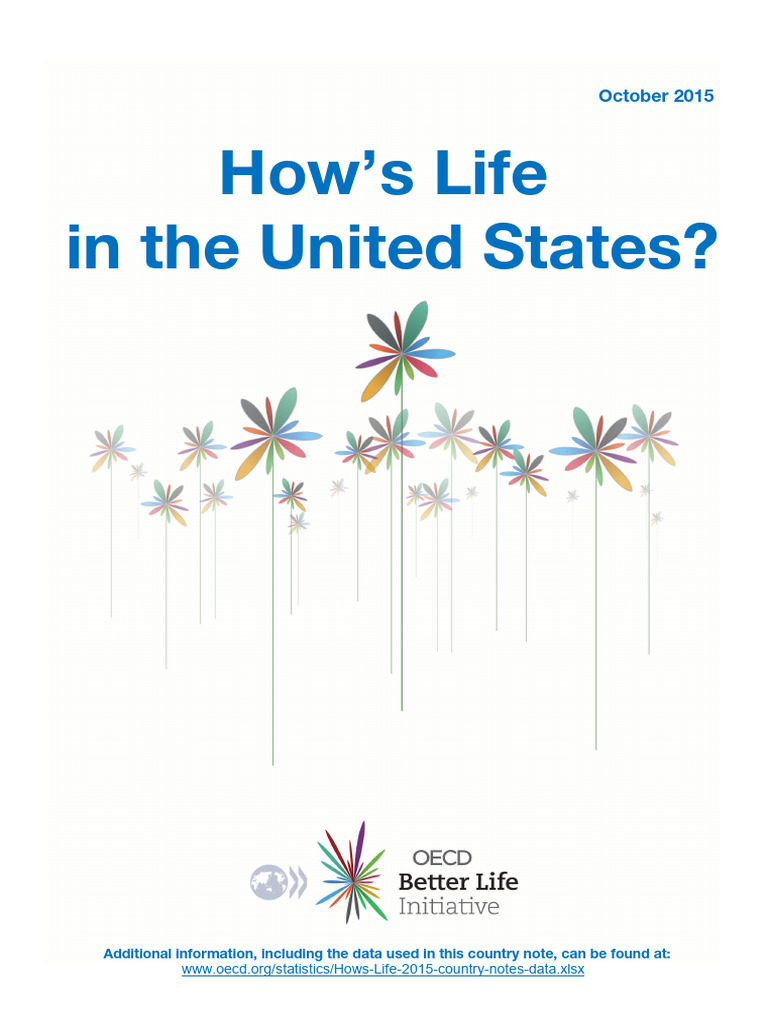 2015 Better Life Initiative Country Note United States | PDF | Poverty ...