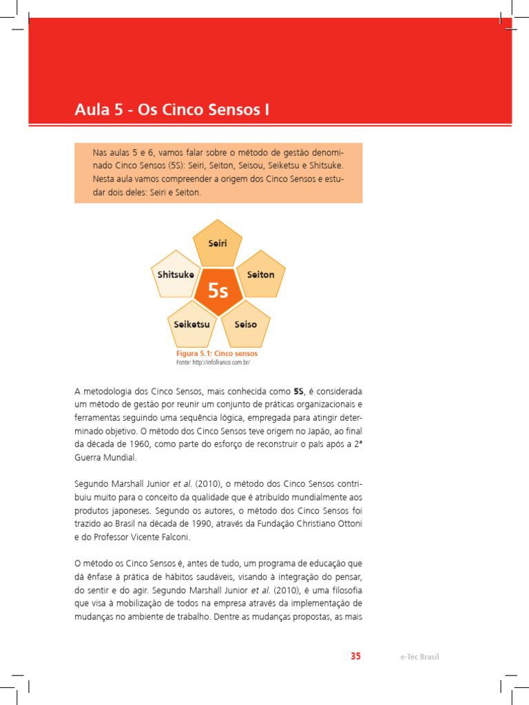 Introdução ao Método 5S: Seiri e Seiton | PDF | Cor | Gestão de qualidade