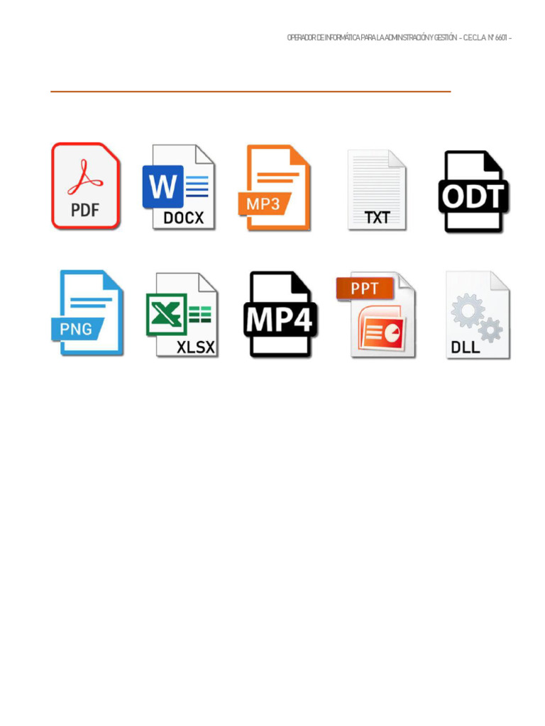 EXTENCIONES | PDF | Archivo de computadora | Microsoft Excel