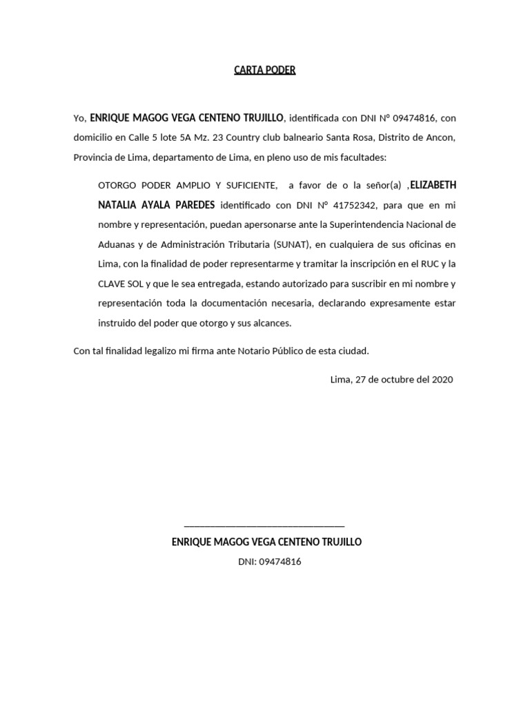 Carta Poder para Representación SUNAT | PDF