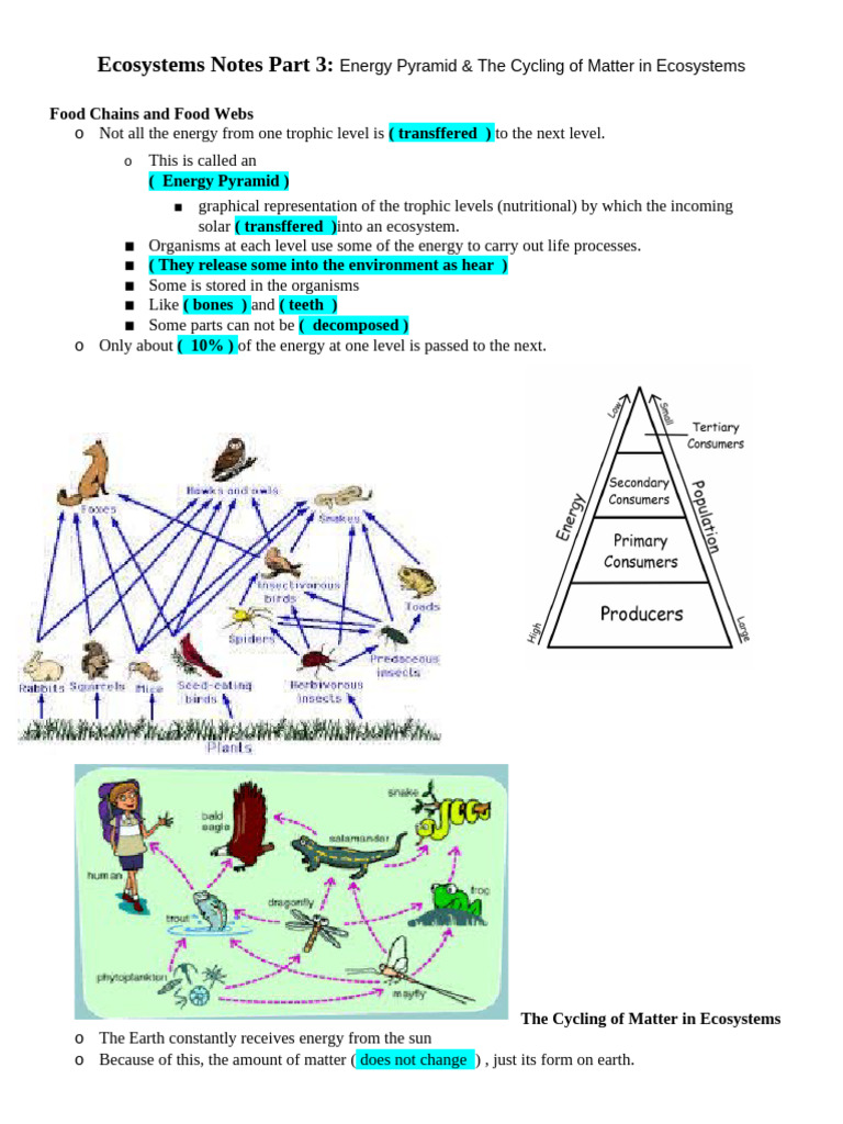 Rice Part 3 2020 Ecosystems STUDENT Notes | PDF | Nitrogen | Ecosystem