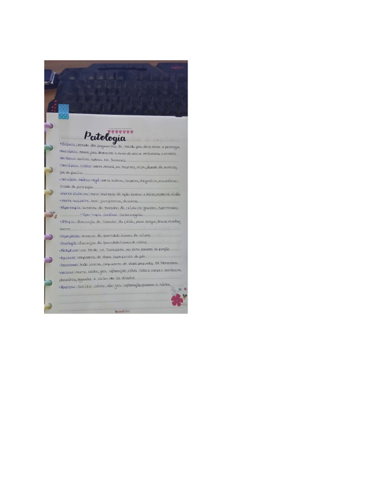 Documento 2 | PDF