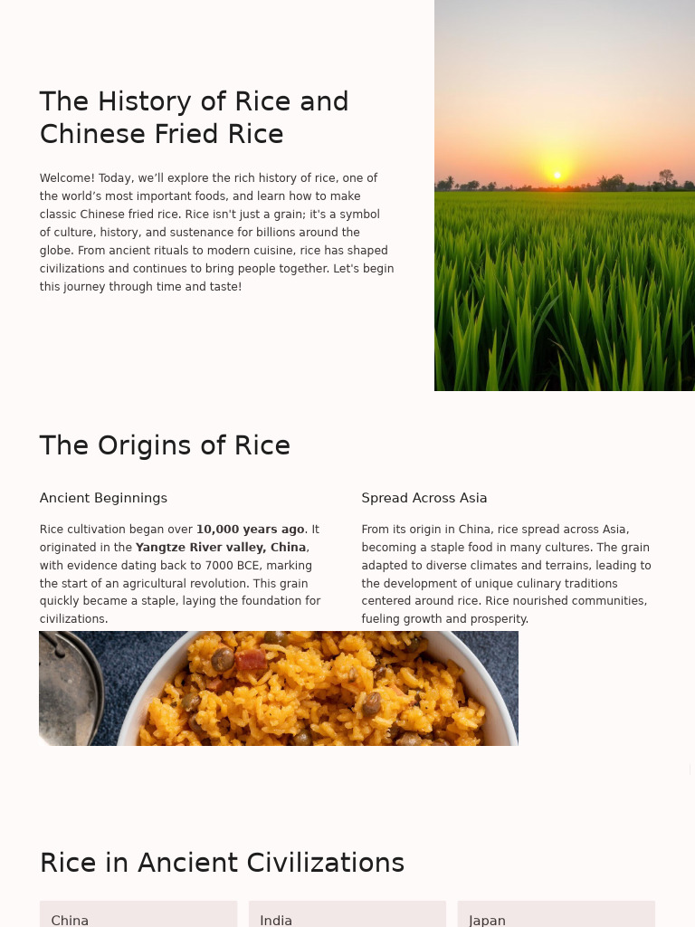 Origins and History of Fried Rice | PDF | Stir Frying | Cuisine