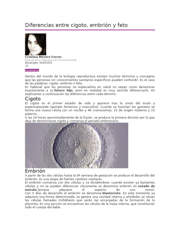 Diferencias entre cigoto, embrión y feto | PDF | Embrión | El embarazo