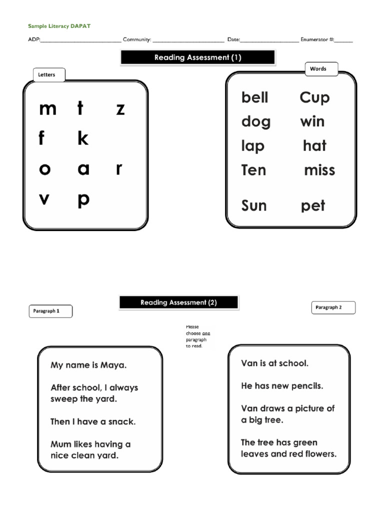 Sample Literacy DAPAT - 20250405 - 171756 - 0000 | PDF