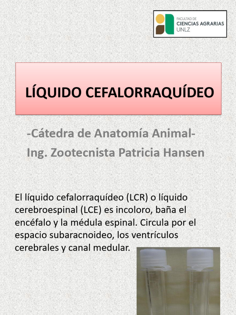 Composición y Color del Líquido Cefalorraquídeo | PDF