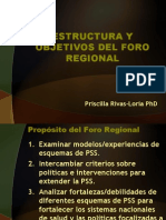 Estructura Objetivos Foro Regional OPS P Rivas Loria