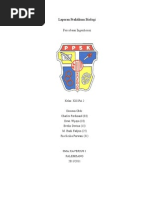 Download Laporan Percobaan Ingerhousz by Sarah Adeline SN86137281 doc pdf