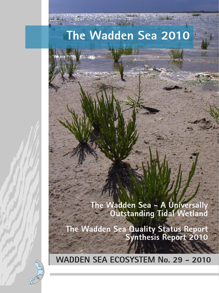 The Wadden Sea A Universally Outstanding Tidal Wetland | PDF | Coast ...
