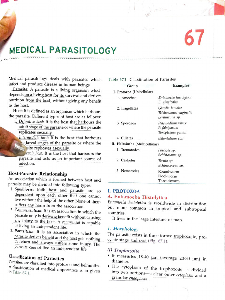 Medical Parasitology Overview | PDF | Plasmodium Falciparum | Plasmodium