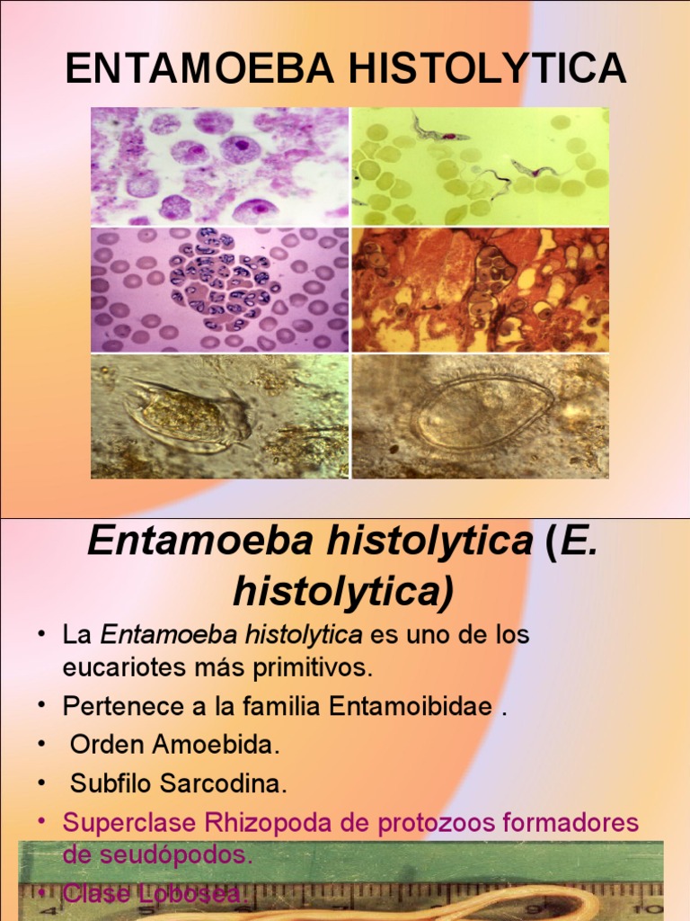 Essays concerning entamoeba histolytica infections