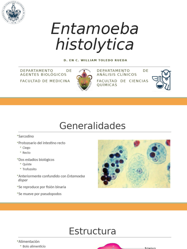 Entamoeba Histolytica | PDF | Gastroenterología | Enfermedades y trastornos