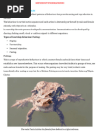 Courtship Behaviors in Animals Explained | PDF | Male | Behavior