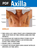 Anatomy and Contents of the Axilla | PDF | Arm | Anatomy