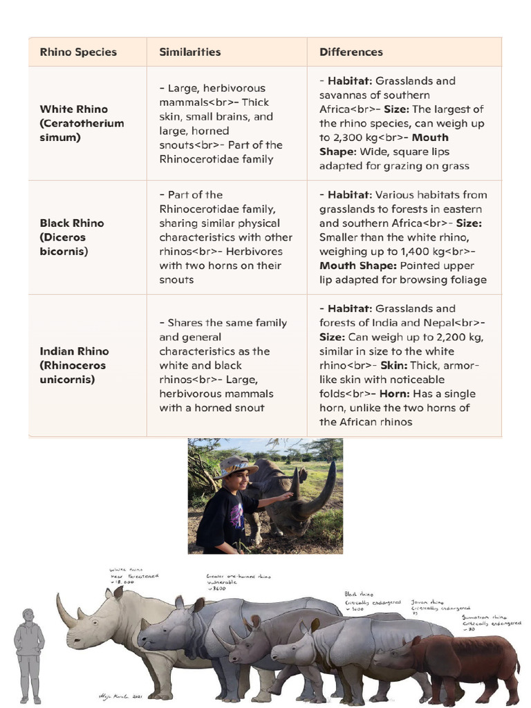 Rhino Species 12 Dec 24 | PDF