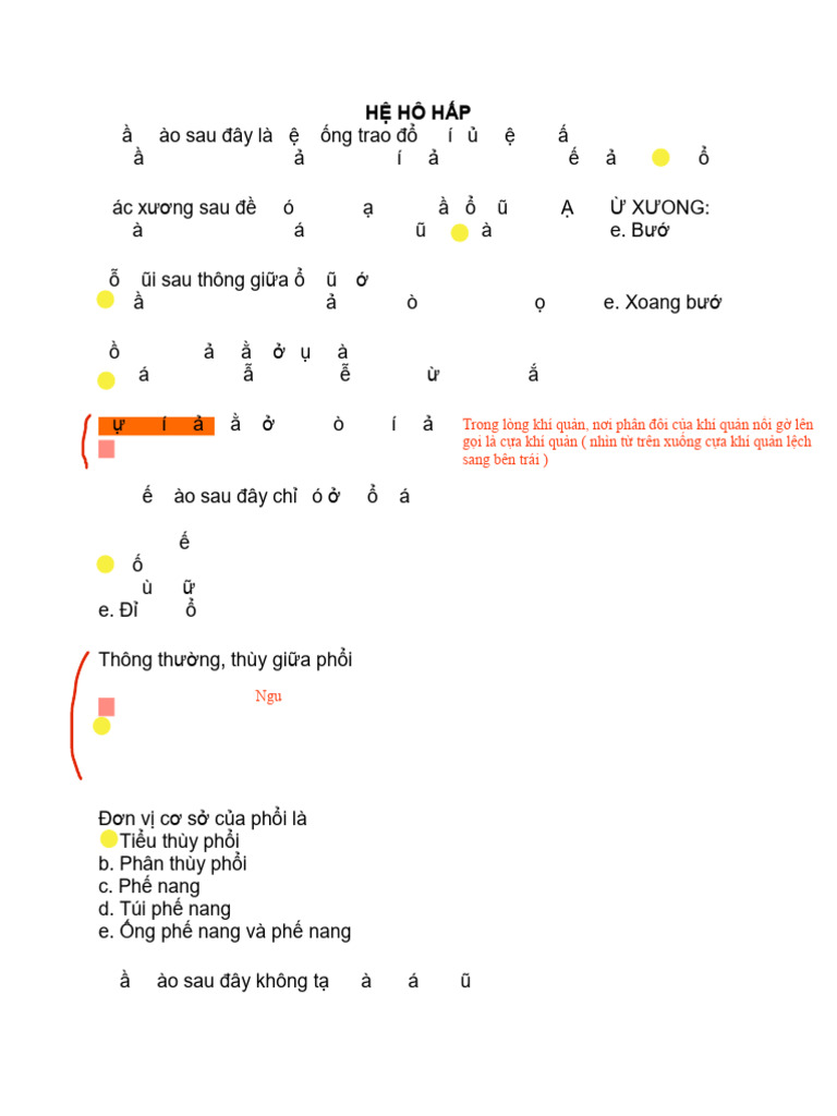 Hệ Hô Hấp | PDF