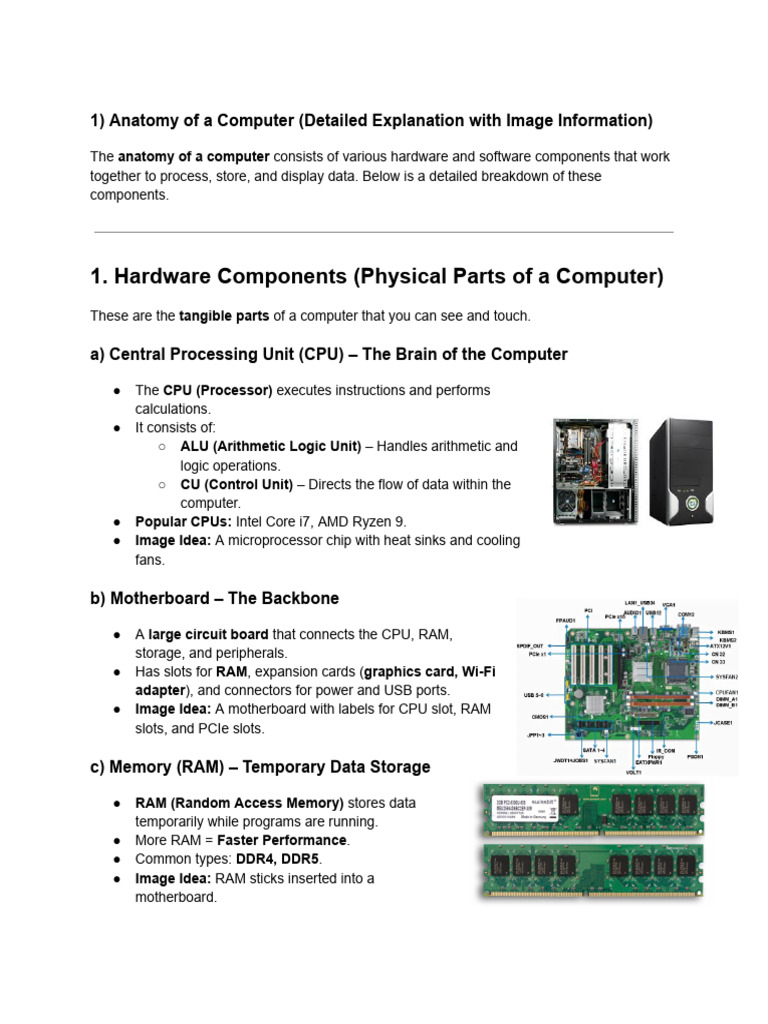 Anatomy of Computer Hardware Explained | PDF | Central Processing Unit ...