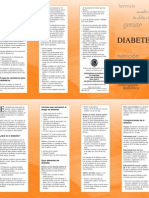 Folleto Diabetes Mellitus