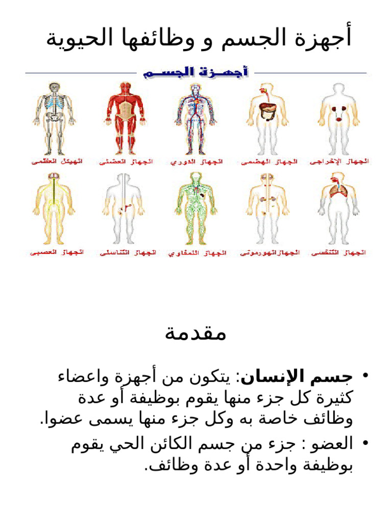 12 2019 02 19!07 40 20 PM | PDF
