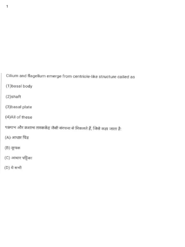 Full Length Test 9-Numbered | PDF
