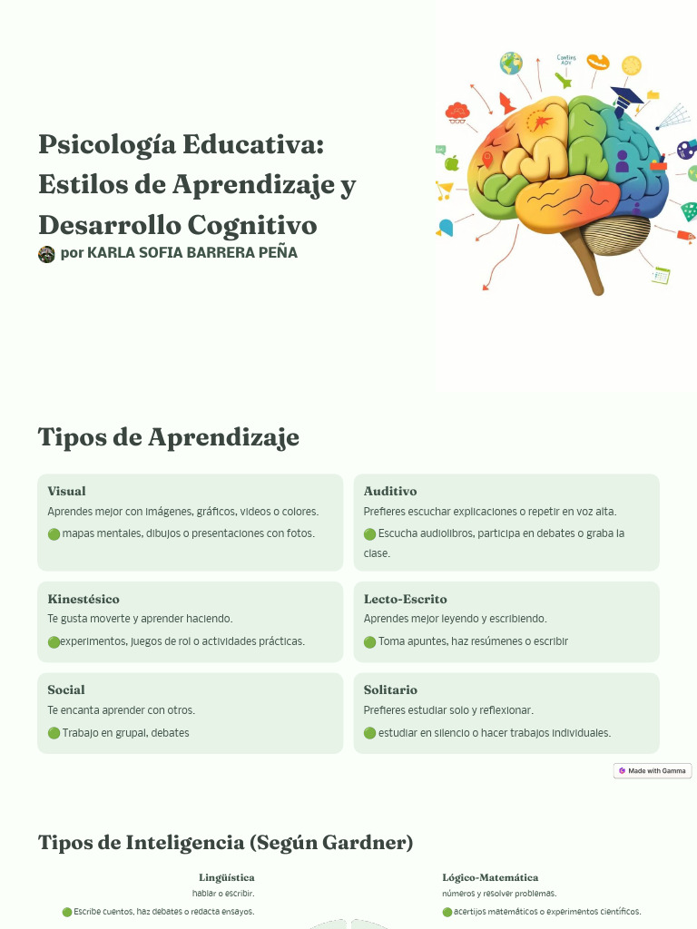 Estilos de Aprendizaje y Desarrollo Cognitivo | PDF | Aprendizaje ...