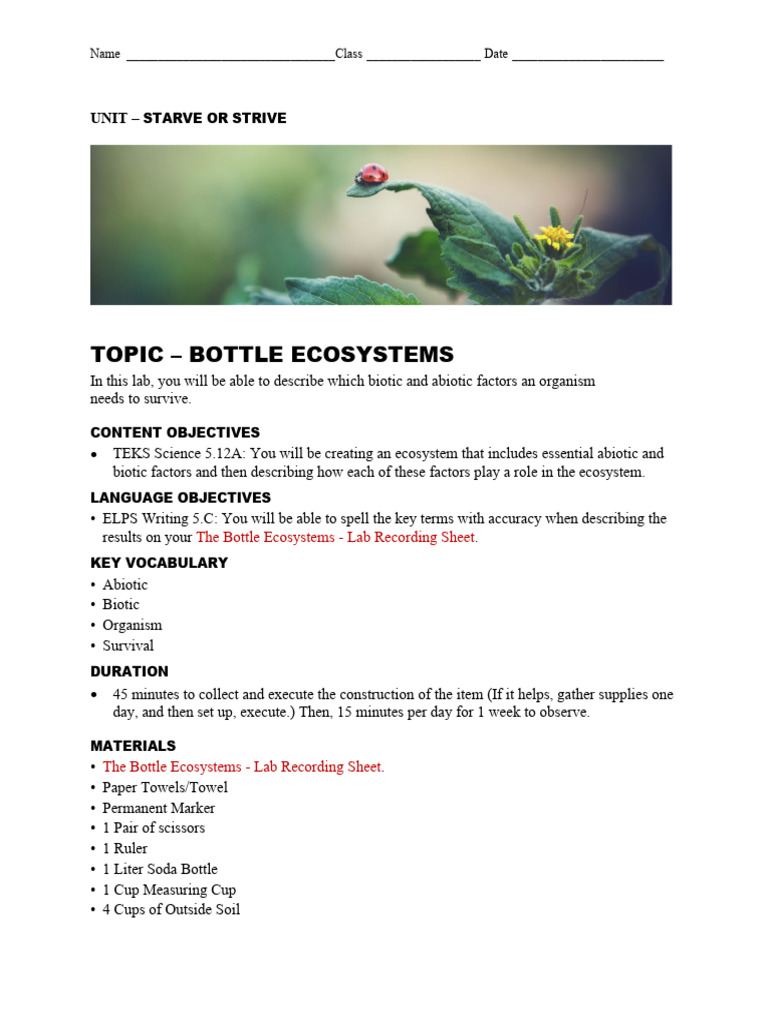 Building a Bottle Ecosystem Lab | PDF | Ecosystem | Soil