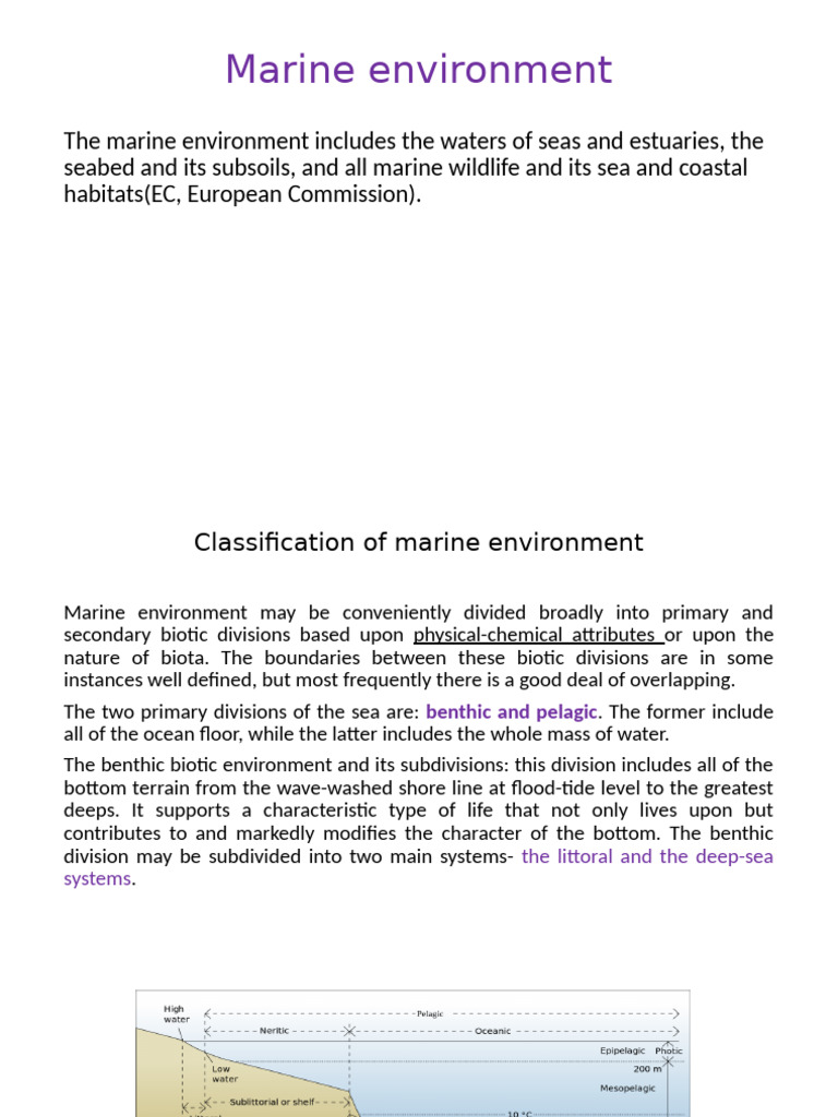 Classification of Marine Environments | PDF | Continental Shelf ...