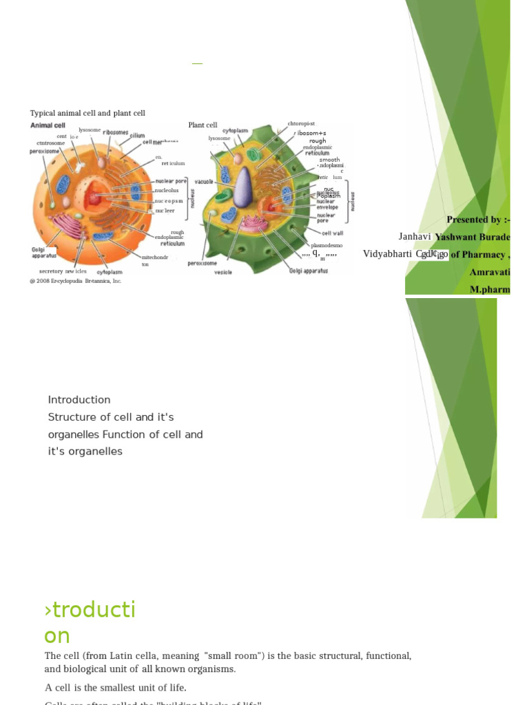 Cell Biology 250304987 | PDF | Cell (Biology) | Endoplasmic Reticulum