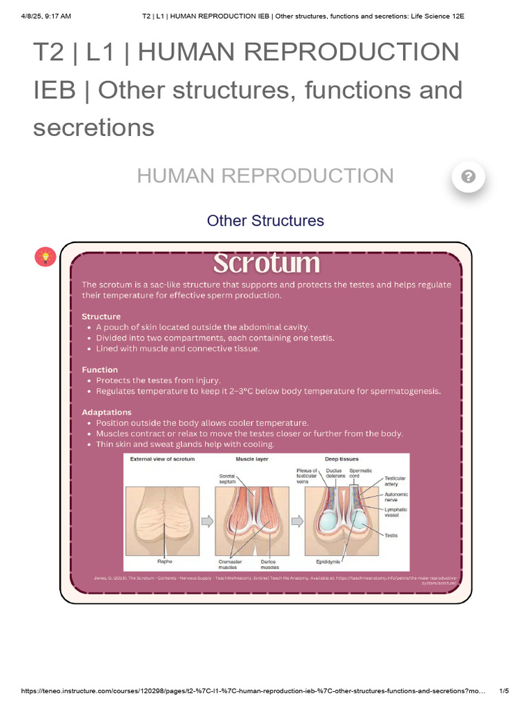 Human Reproduction: Functions & Structures | PDF | Human Reproduction ...