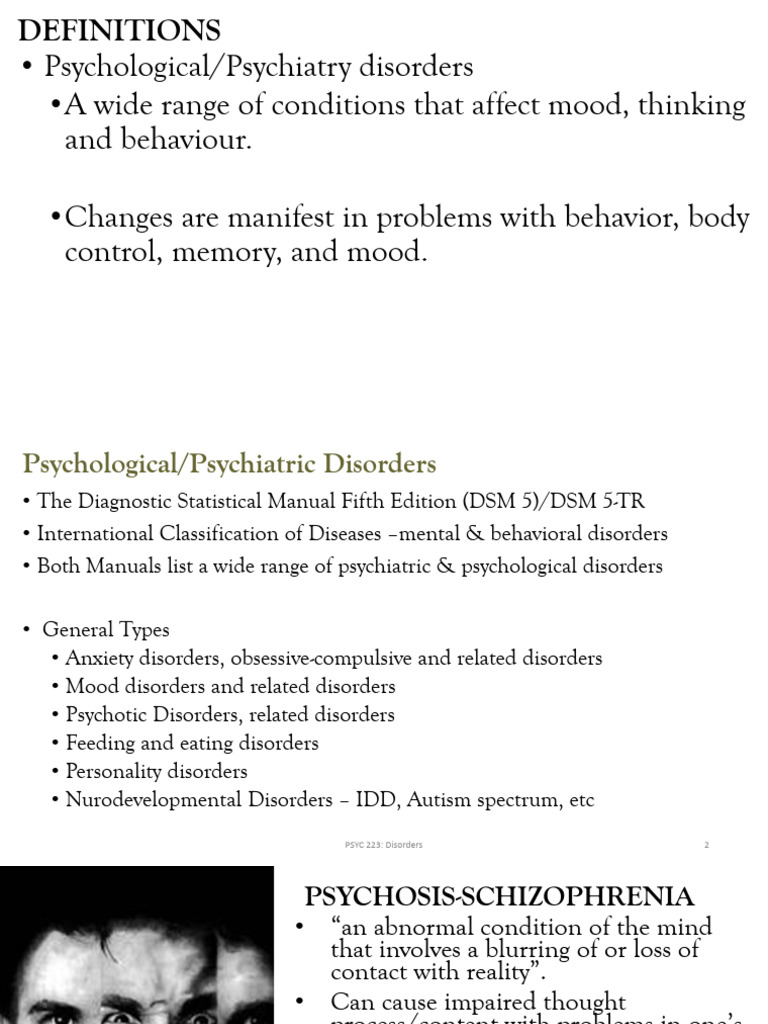 Overview of Psychological Disorders | PDF | Schizophrenia | Attention ...
