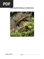 Download jurnal Kelas reptilia by Pilar Jaka Maanyan SN86153257 doc pdf