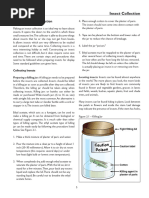Insect Collection and Preservation Guide | PDF | Insects | Cyanide
