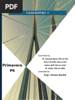Primavera P6 Version History Overview | PDF | Application Software ...