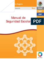 Manual Seguridad