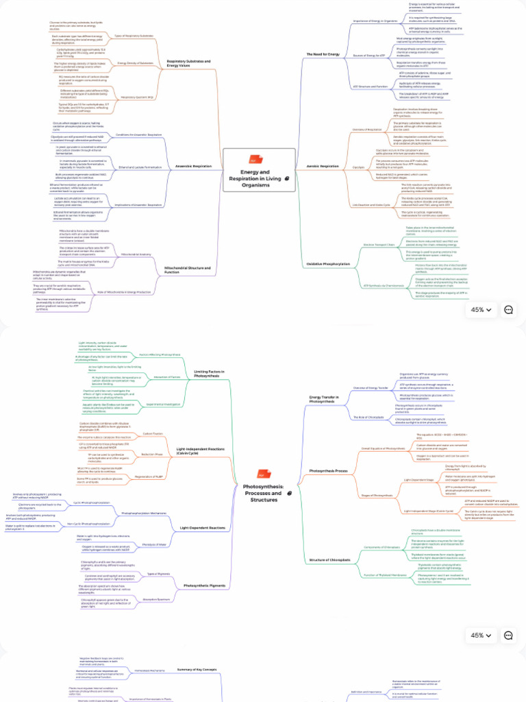Mind Maps | PDF