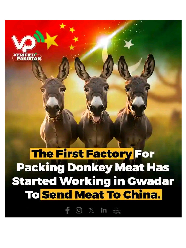 Donkey | PDF