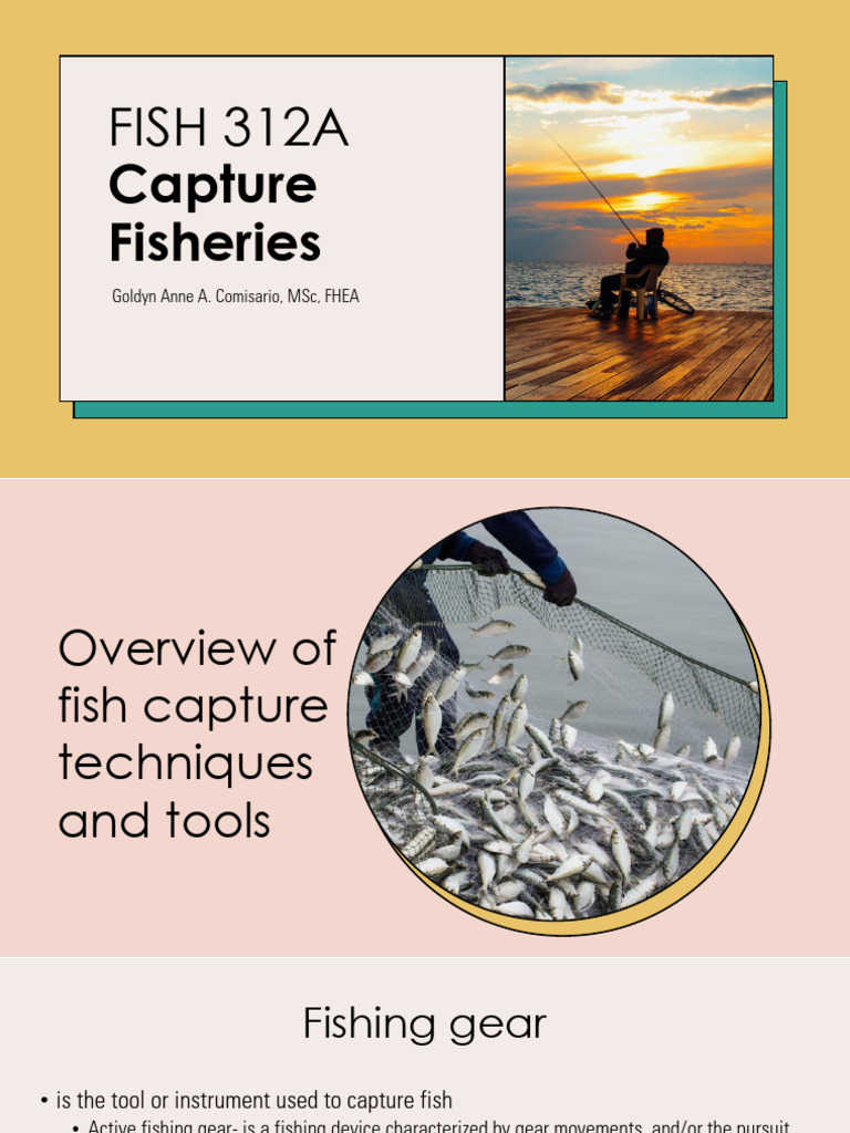 Overview of Fish Capture Techniques | PDF | Trawling | Angling