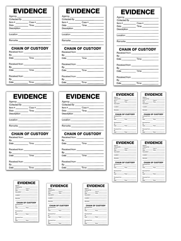 Evidence | PDF