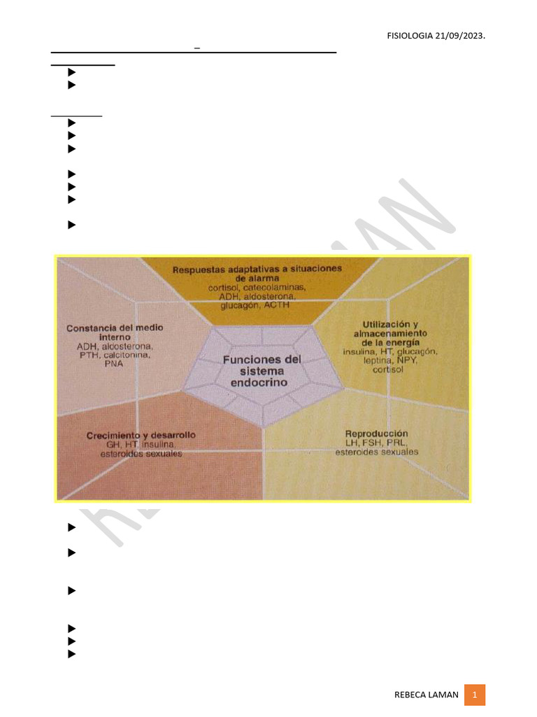Sistema Endocrino y Hormonas Clave | PDF | Hormona estimulante de la ...
