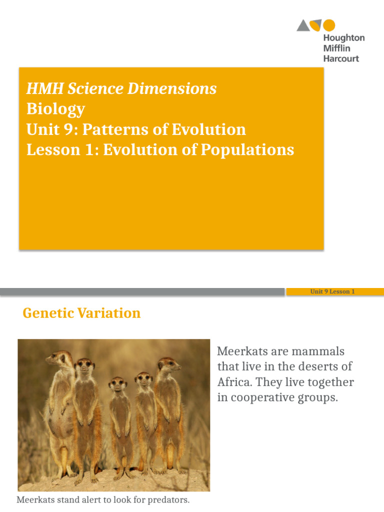Meerkats and Genetic Variation in Evolution | PDF | Natural Selection ...